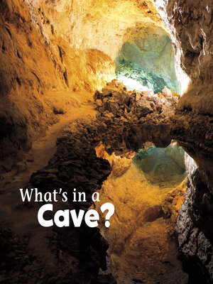 cover image of What's in a Cave?